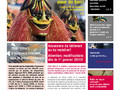 Journal EAU & FEU 2009 (N° 3)