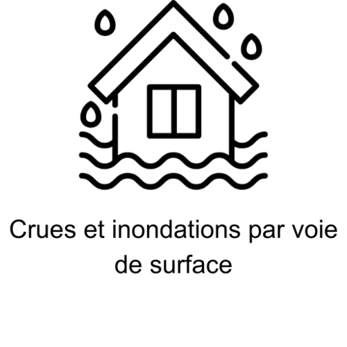Icône Inondation avec texte