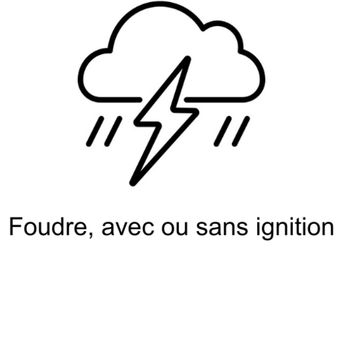 Icône Foudre avec texte