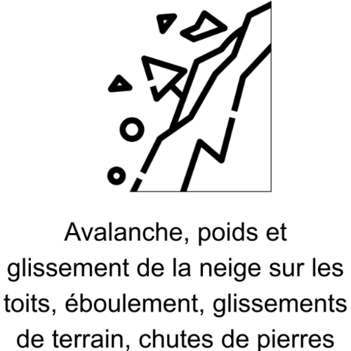 Icône Avalanche avec texte